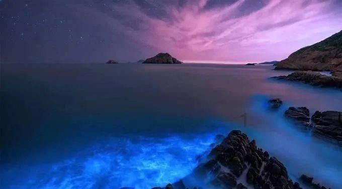 坦克连