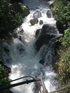 网上卖的玉米面条是真的游戏画面