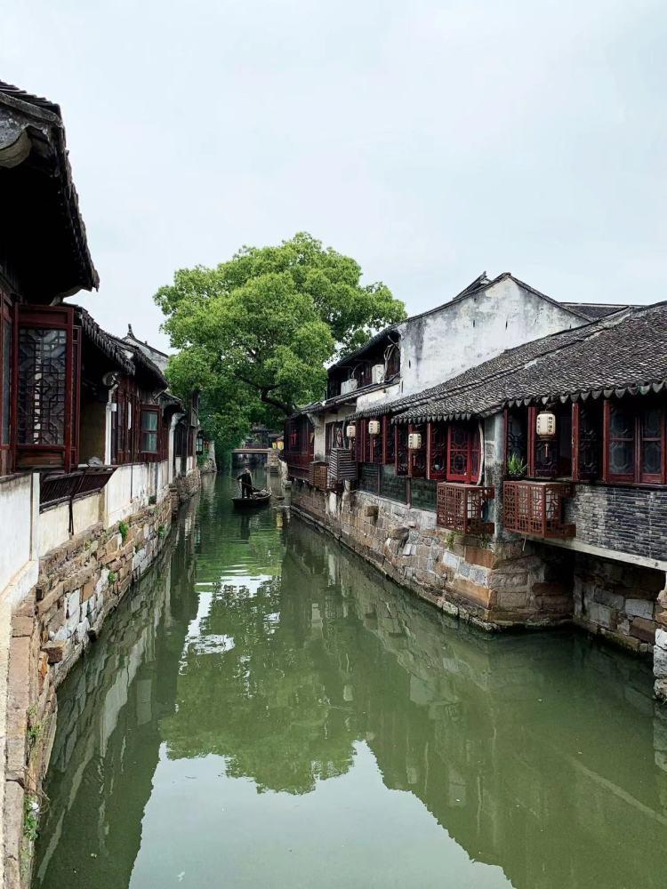 省政协委员和丽贵:打造“云菌”品牌 助推乡村振兴
